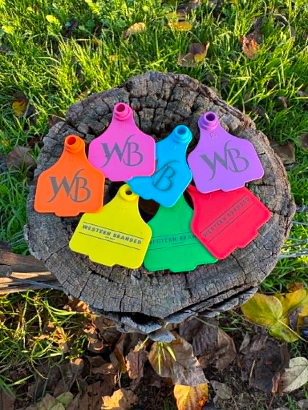 Cattle Tags - all colours on stump