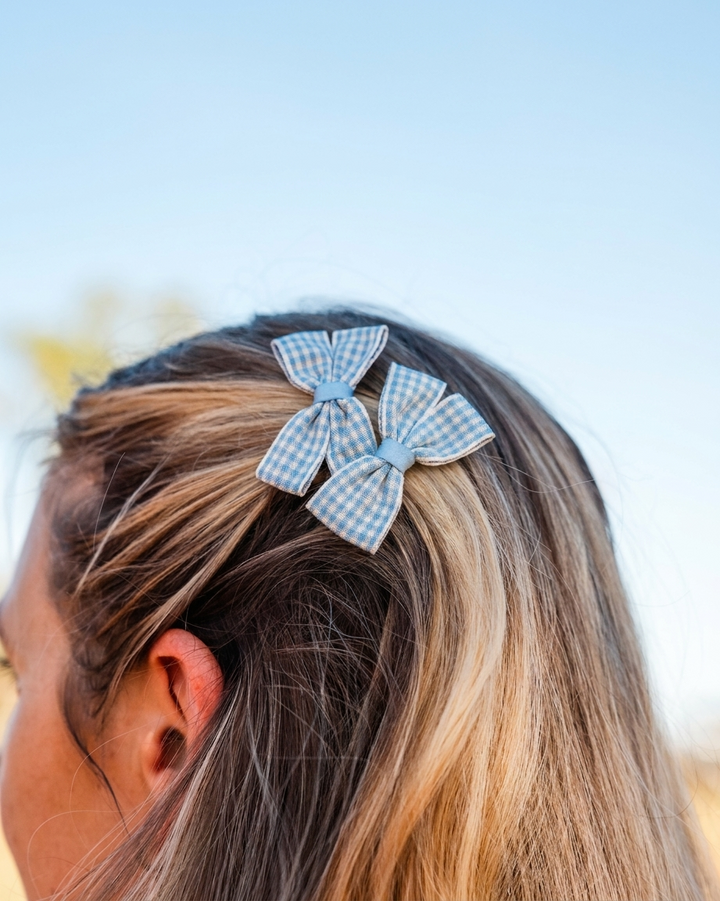 Gingham Clips Blue - enhanced photo DSC07053