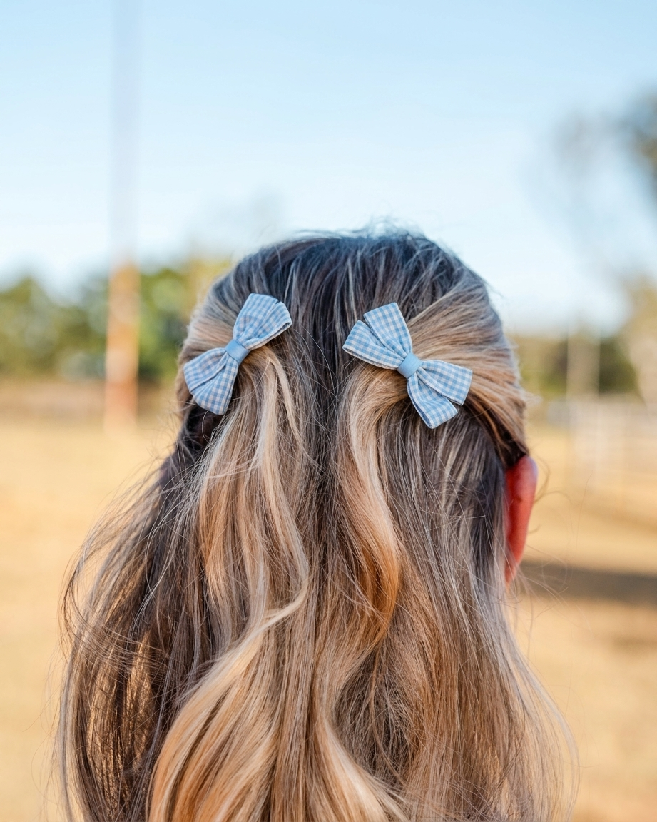 Gingham Clips Blue - enhanced photo DSC07067