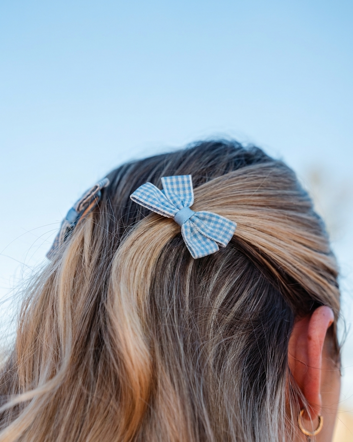 Gingham Clips Blue - enhanced photo DSC07077