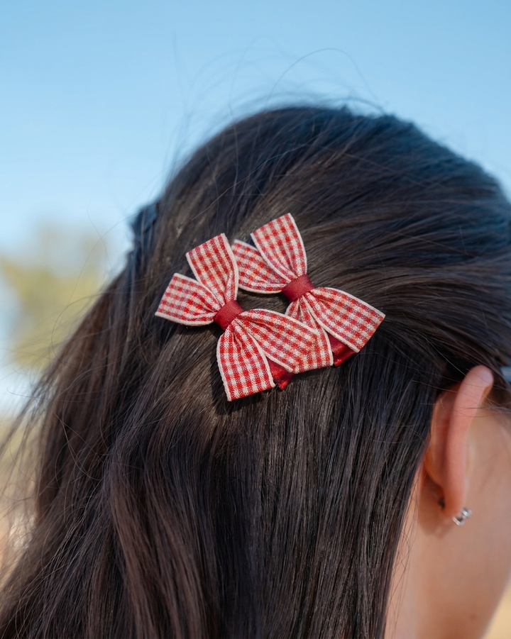 Gingham Clips Red - enhanced photo DSC07088