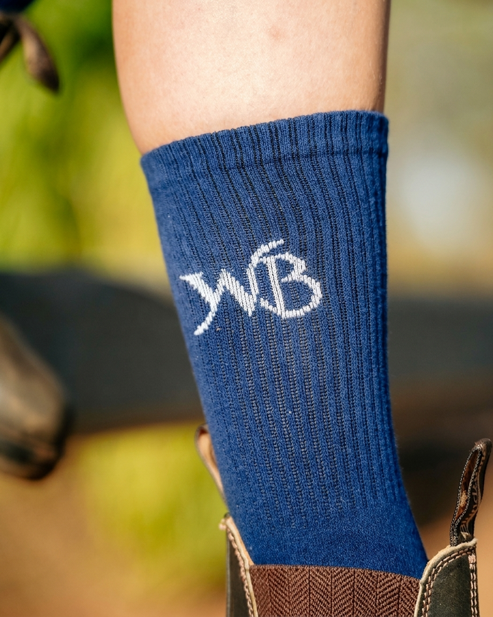 Ridge Socks - enhanced photo DSC08892.jpg